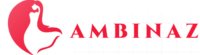 ambinaz logo
